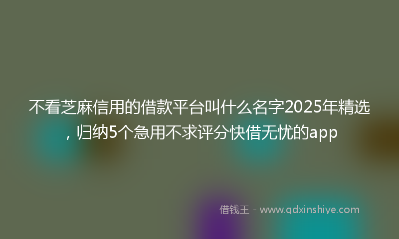 不看芝麻信用的借款平台叫什么名字2025年精选，归纳5个急用不求评分快借无忧的app