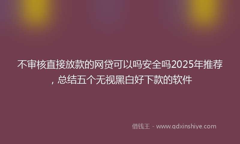 不审核直接放款的网贷可以吗安全吗2025年推荐，总结五个无视黑白好下款的软件