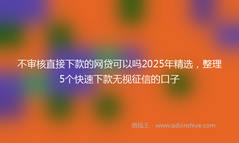 不审核直接下款的网贷可以吗2025年精选，整理5个快速下款无视征信的口子