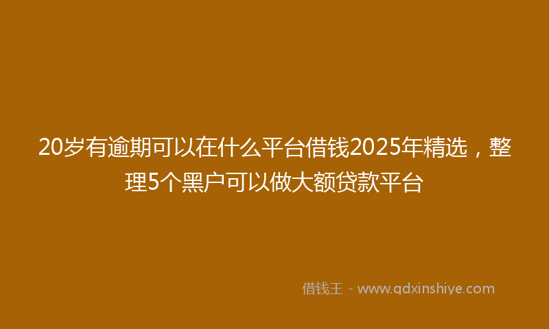 20岁有逾期可以在什么平台借钱2025年精选，整理5个黑户可以做大额贷款平台