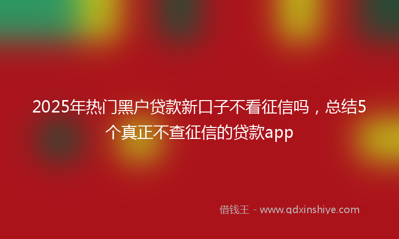2025年热门黑户贷款新口子不看征信吗，总结5个真正不查征信的贷款app