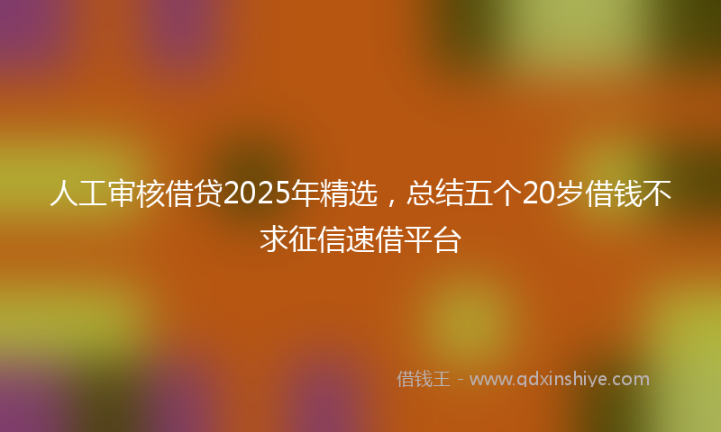 人工审核借贷2025年精选，总结五个20岁借钱不求征信速借平台