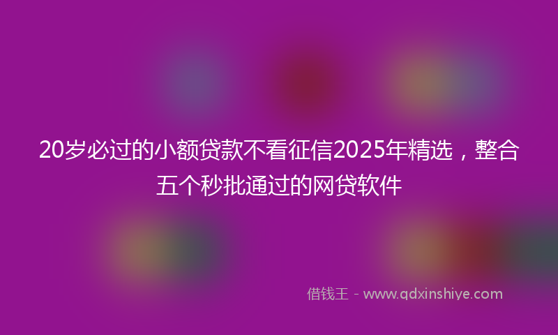 20岁必过的小额贷款不看征信2025年精选，整合五个秒批通过的网贷软件