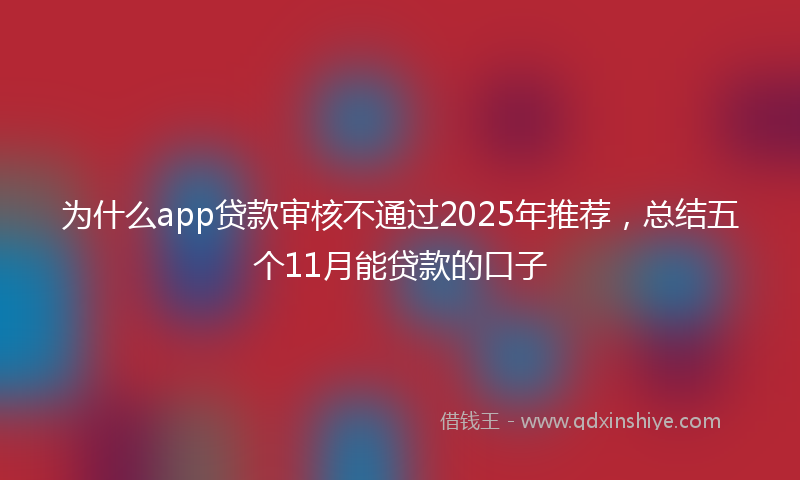 为什么app贷款审核不通过2025年推荐，总结五个11月能贷款的口子