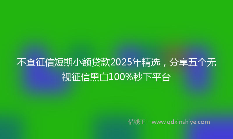 不查征信短期小额贷款2025年精选，分享五个无视征信黑白100%秒下平台