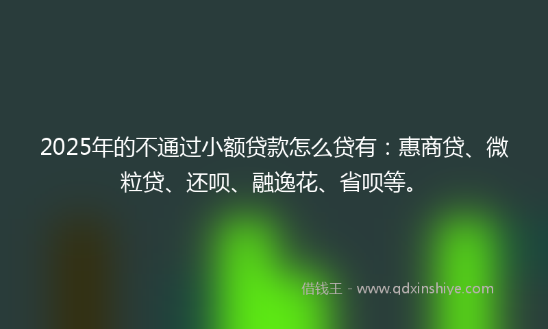 2025年的不通过小额贷款怎么贷有：惠商贷、微粒贷、还呗、融逸花、省呗等。