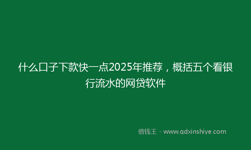 什么口子下款快一点2025年推荐，概括五个看银行流水的网贷软件