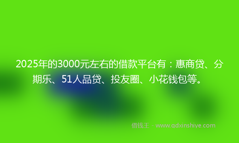 2025年的3000元左右的借款平台有：惠商贷、分期乐、51人品贷、投友圈、小花钱包等。