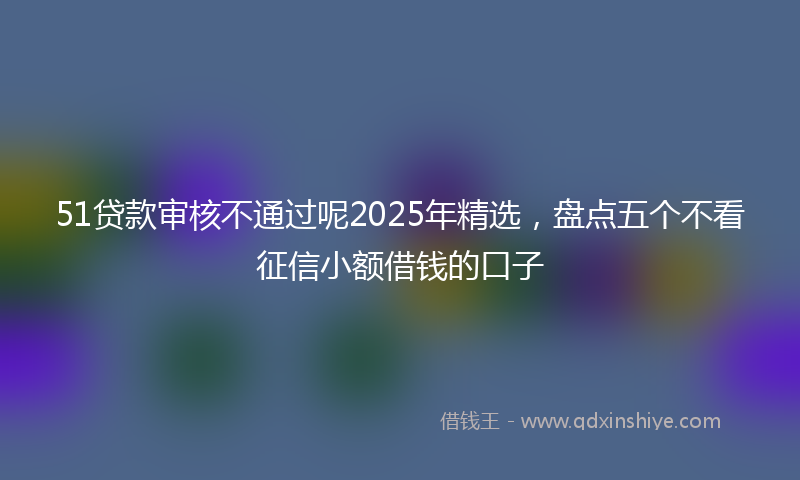 51贷款审核不通过呢2025年精选，盘点五个不看征信小额借钱的口子