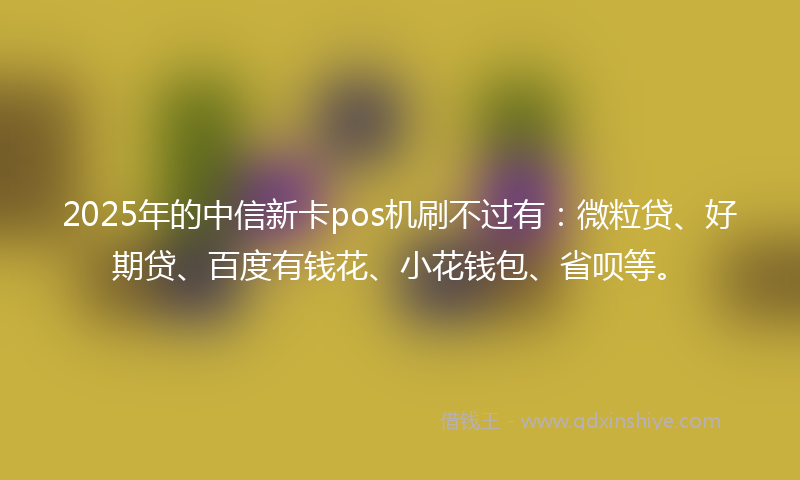 2025年的中信新卡pos机刷不过有：微粒贷、好期贷、百度有钱花、小花钱包、省呗等。