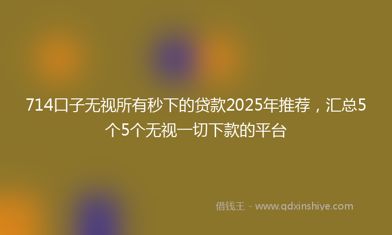714口子无视所有秒下的贷款2025年推荐，汇总5个5个无视一切下款的平台