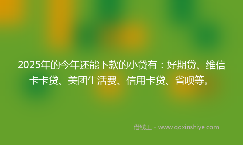 2025年的今年还能下款的小贷有：好期贷、维信卡卡贷、美团生活费、信用卡贷、省呗等。