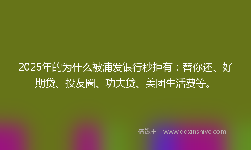 2025年的为什么被浦发银行秒拒有：替你还、好期贷、投友圈、功夫贷、美团生活费等。