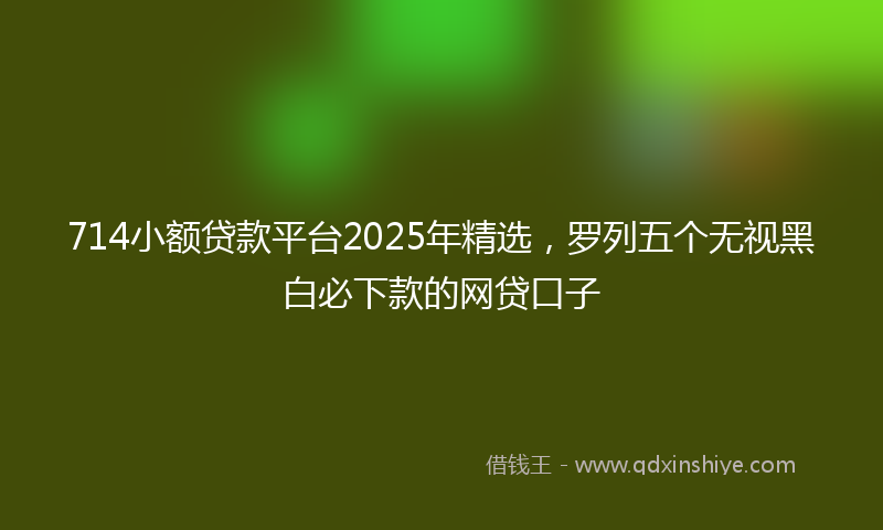 714小额贷款平台2025年精选，罗列五个无视黑白必下款的网贷口子