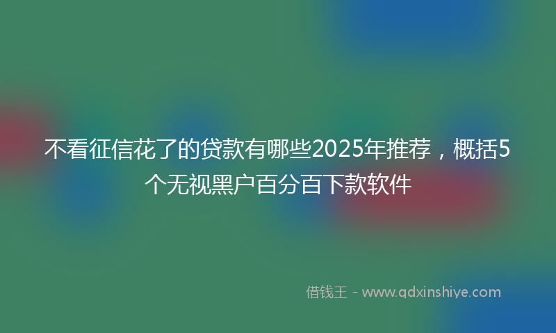 不看征信花了的贷款有哪些2025年推荐，概括5个无视黑户百分百下款软件