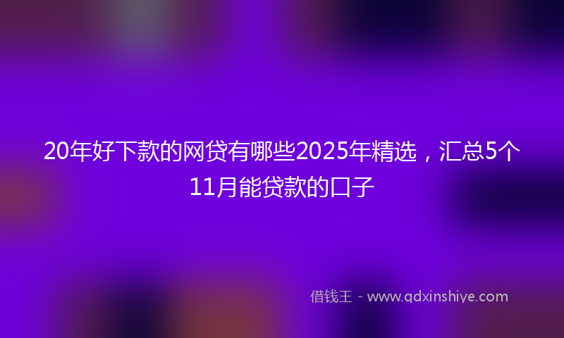 20年好下款的网贷有哪些2025年精选，汇总5个11月能贷款的口子