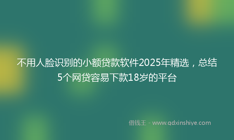 不用人脸识别的小额贷款软件2025年精选，总结5个网贷容易下款18岁的平台