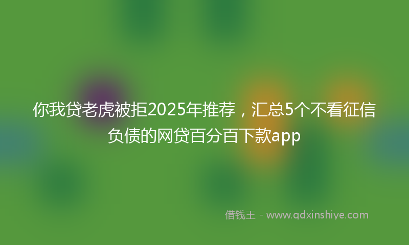 你我贷老虎被拒2025年推荐，汇总5个不看征信负债的网贷百分百下款app