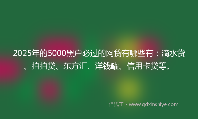 2025年的5000黑户必过的网贷有哪些有：滴水贷、拍拍贷、东方汇、洋钱罐、信用卡贷等。
