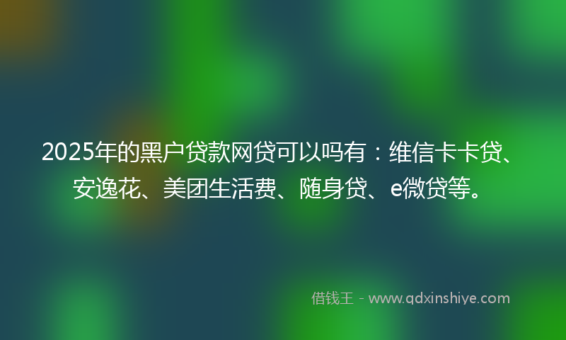 2025年的黑户贷款网贷可以吗有：维信卡卡贷、安逸花、美团生活费、随身贷、e微贷等。