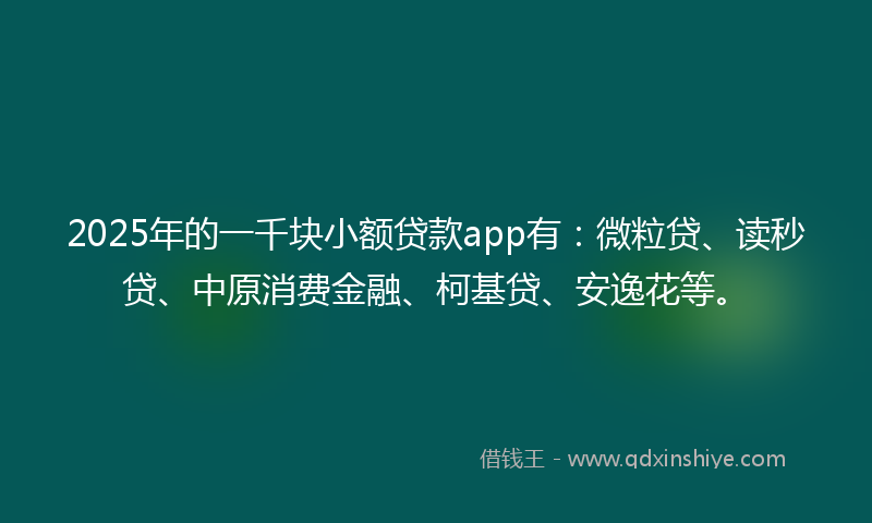 2025年的一千块小额贷款app有：微粒贷、读秒贷、中原消费金融、柯基贷、安逸花等。