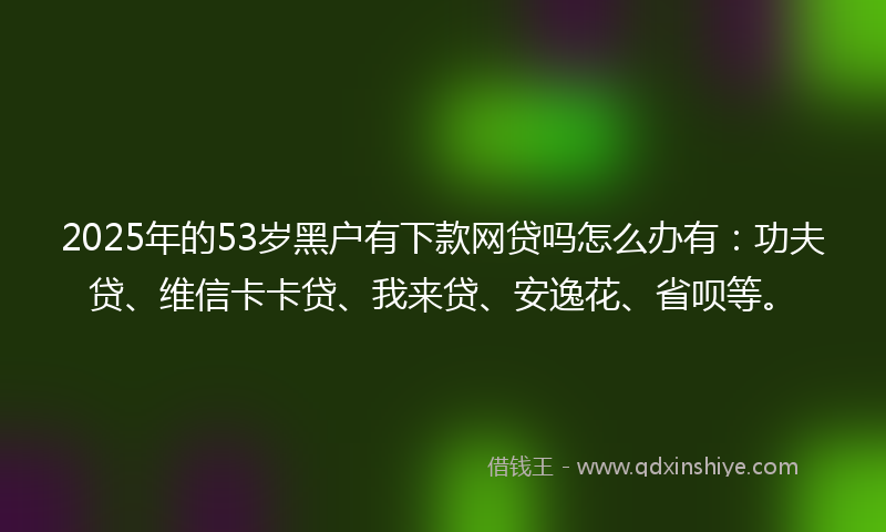 2025年的53岁黑户有下款网贷吗怎么办有：功夫贷、维信卡卡贷、我来贷、安逸花、省呗等。