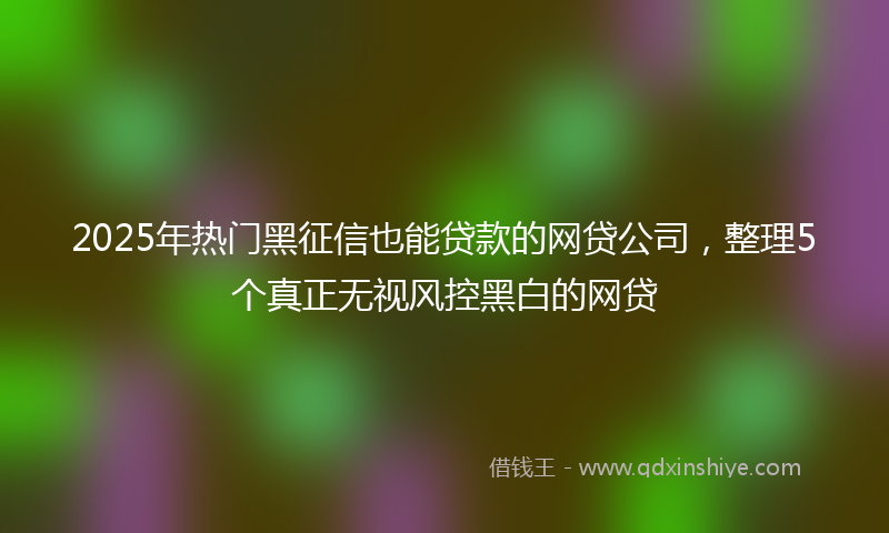 2025年热门黑征信也能贷款的网贷公司，整理5个真正无视风控黑白的网贷