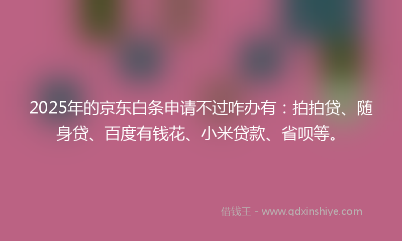 2025年的京东白条申请不过咋办有：拍拍贷、随身贷、百度有钱花、小米贷款、省呗等。