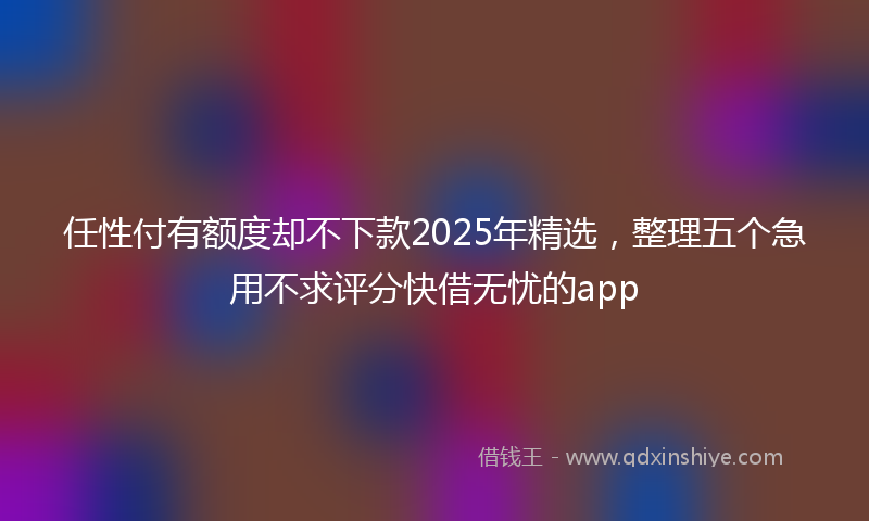 任性付有额度却不下款2025年精选，整理五个急用不求评分快借无忧的app