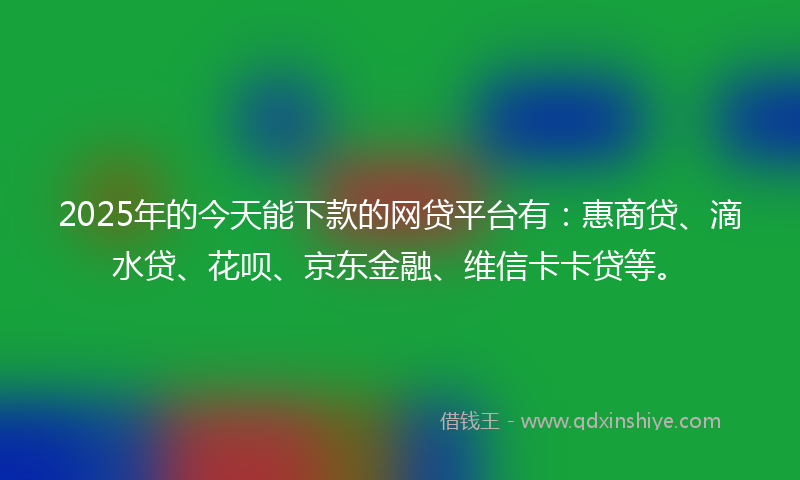 2025年的今天能下款的网贷平台有：惠商贷、滴水贷、花呗、京东金融、维信卡卡贷等。
