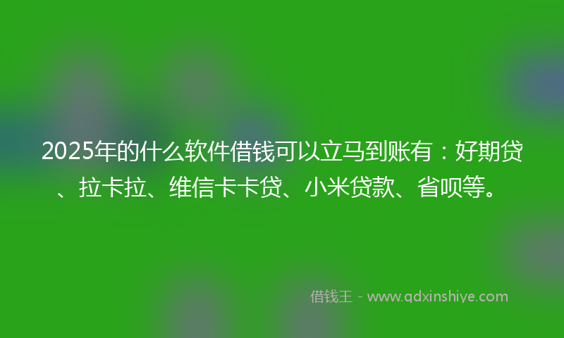 2025年的什么软件借钱可以立马到账有：好期贷、拉卡拉、维信卡卡贷、小米贷款、省呗等。