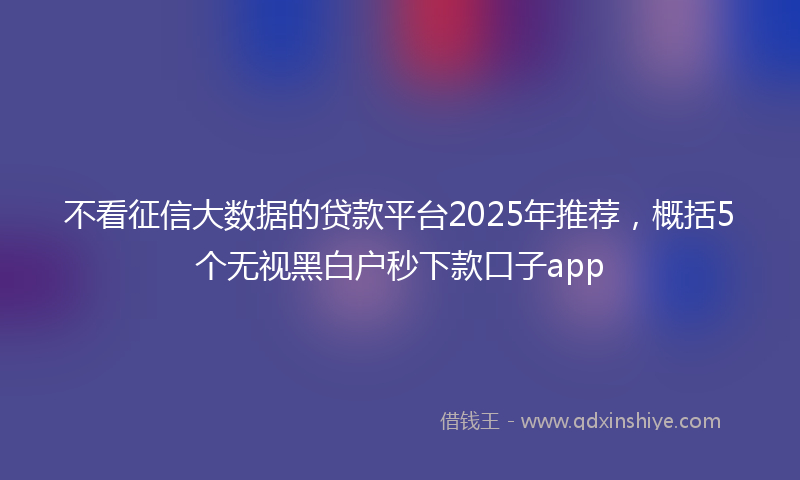 不看征信大数据的贷款平台2025年推荐，概括5个无视黑白户秒下款口子app