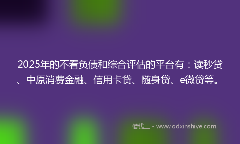 2025年的不看负债和综合评估的平台有：读秒贷、中原消费金融、信用卡贷、随身贷、e微贷等。