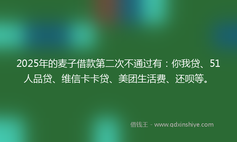 2025年的麦子借款第二次不通过有：你我贷、51人品贷、维信卡卡贷、美团生活费、还呗等。
