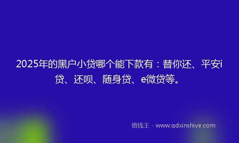 2025年的黑户小贷哪个能下款有：替你还、平安i贷、还呗、随身贷、e微贷等。