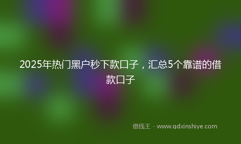 2025年热门黑户秒下款口子，汇总5个靠谱的借款口子