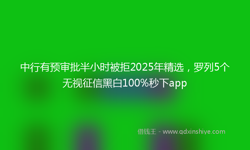 中行有预审批半小时被拒2025年精选，罗列5个无视征信黑白100%秒下app