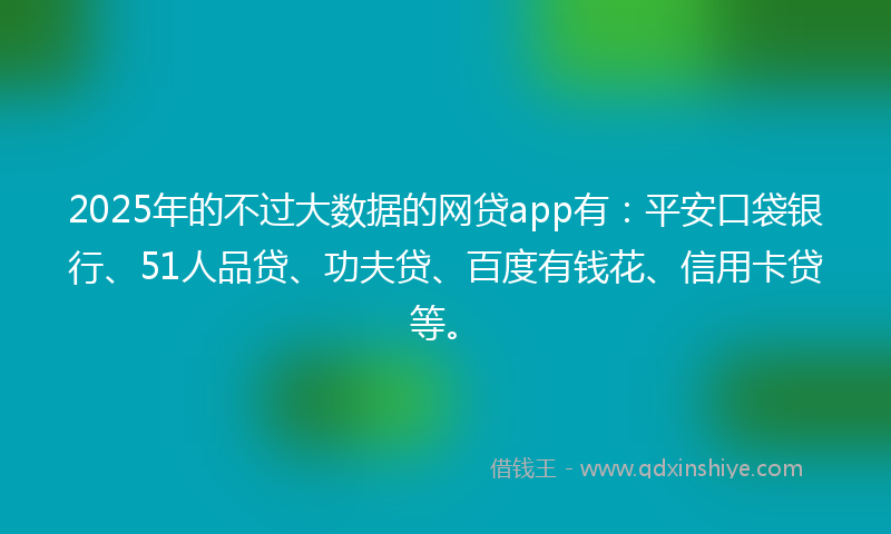 2025年的不过大数据的网贷app有：平安口袋银行、51人品贷、功夫贷、百度有钱花、信用卡贷等。
