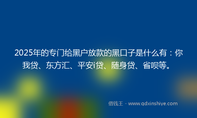 2025年的专门给黑户放款的黑口子是什么有：你我贷、东方汇、平安i贷、随身贷、省呗等。