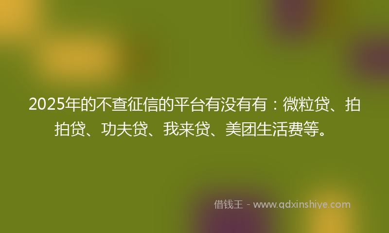 2025年的不查征信的平台有没有有：微粒贷、拍拍贷、功夫贷、我来贷、美团生活费等。