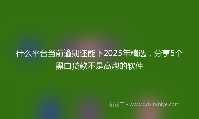 什么平台当前逾期还能下2025年精选，分享5个黑白贷款不是高炮的软件