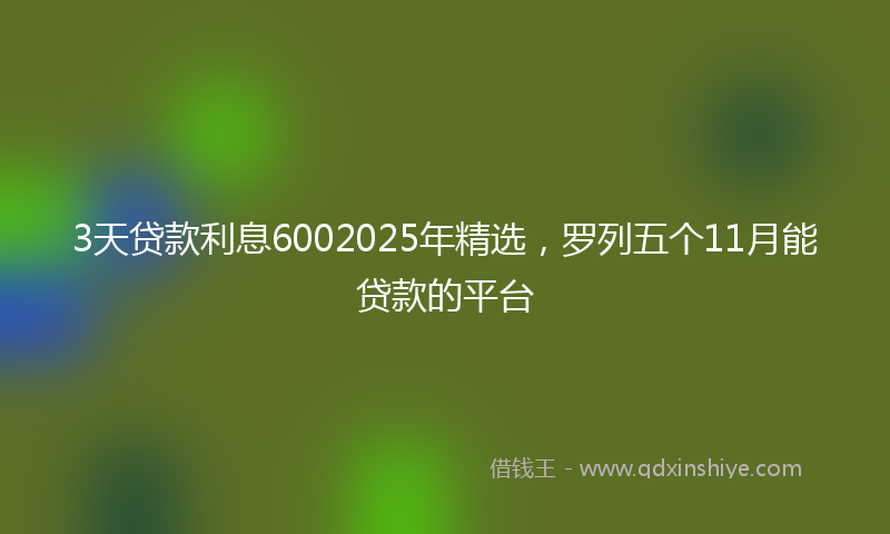 3天贷款利息6002025年精选，罗列五个11月能贷款的平台