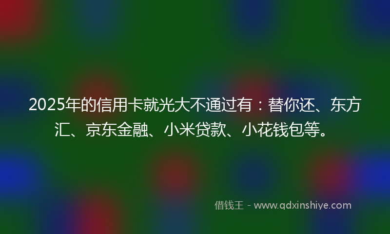 2025年的信用卡就光大不通过有：替你还、东方汇、京东金融、小米贷款、小花钱包等。