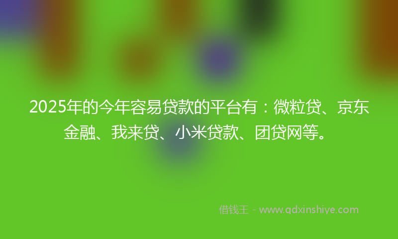 2025年的今年容易贷款的平台有：微粒贷、京东金融、我来贷、小米贷款、团贷网等。