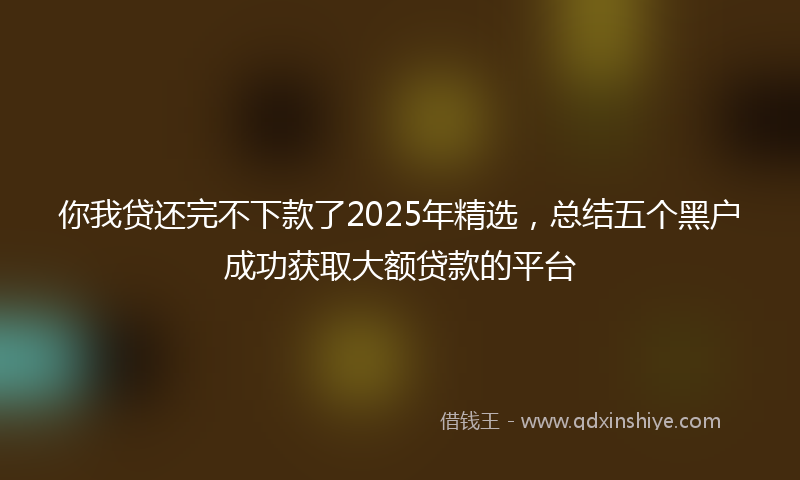 你我贷还完不下款了2025年精选，总结五个黑户成功获取大额贷款的平台