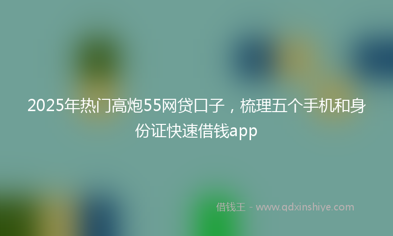 2025年热门高炮55网贷口子，梳理五个手机和身份证快速借钱app