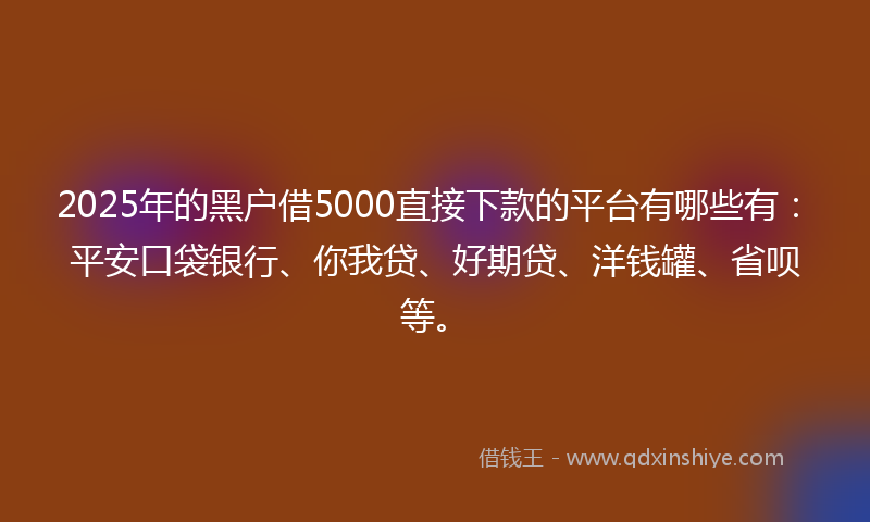2025年的黑户借5000直接下款的平台有哪些有：平安口袋银行、你我贷、好期贷、洋钱罐、省呗等。
