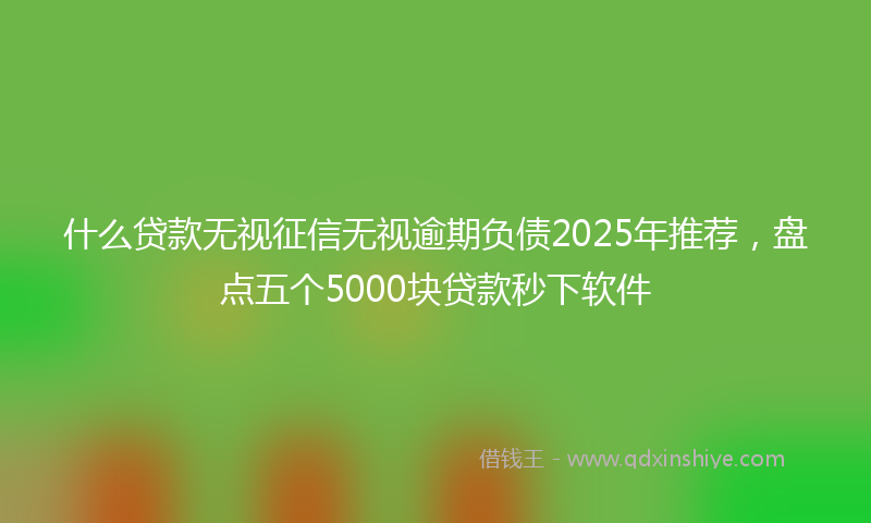 什么贷款无视征信无视逾期负债2025年推荐，盘点五个5000块贷款秒下软件