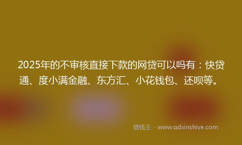 2025年的不审核直接下款的网贷可以吗有：快贷通、度小满金融、东方汇、小花钱包、还呗等。