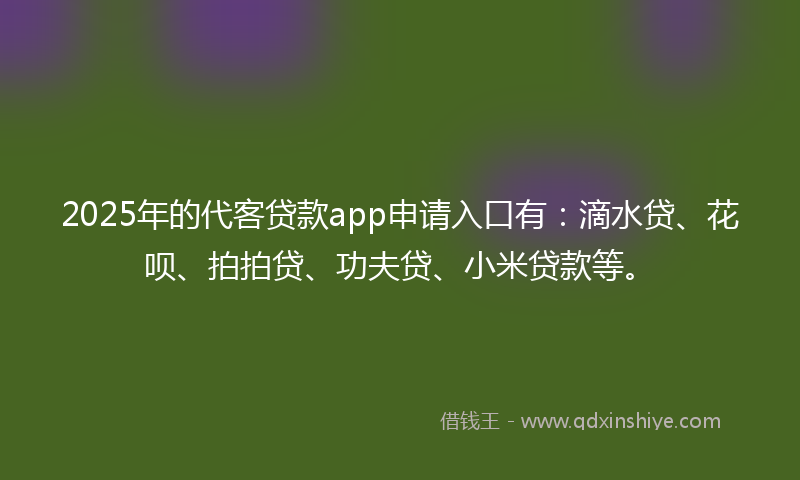 2025年的代客贷款app申请入口有：滴水贷、花呗、拍拍贷、功夫贷、小米贷款等。